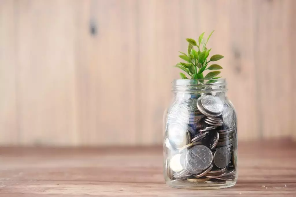 A Glass Jar Filled With Coins And A Plant; Long-Term Investment Criteria