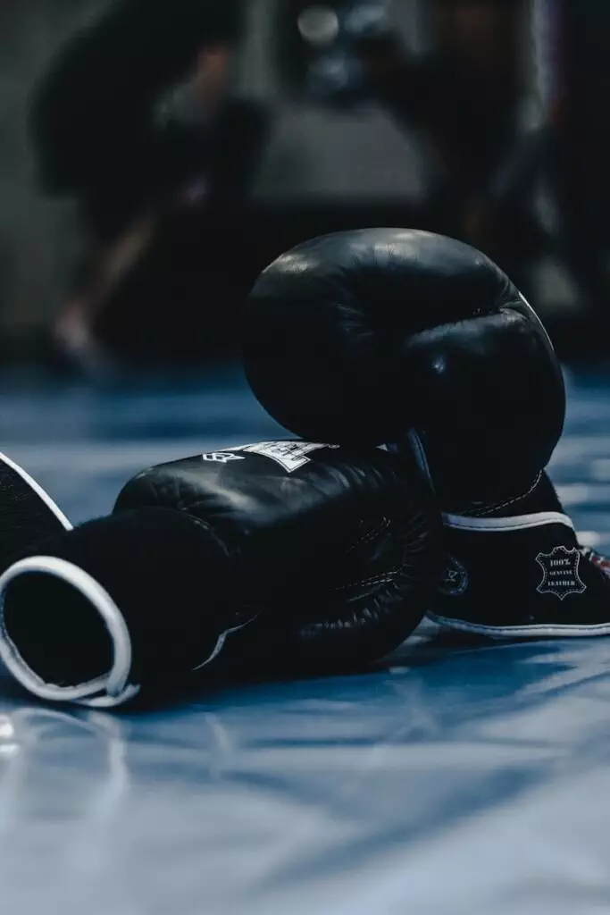 Pair Of Black Boxing Gloves; Dividend Investing Vs Growth